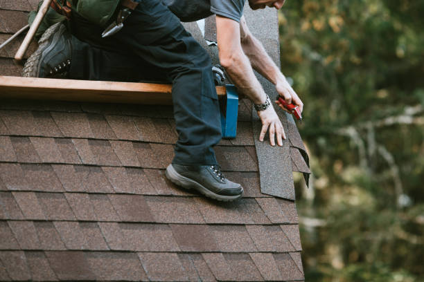 Best Storm Damage Roof Repair  in Kulpmont, PA
